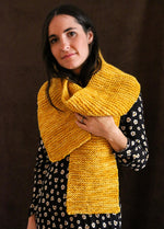 Vega Scarf Kit - Yummy Yarn Fine Version